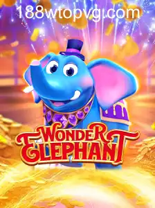 WonderElephant